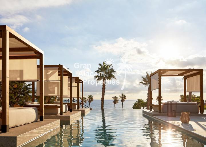 Apartamento - Nueva construcción  - Macenas - Macenas