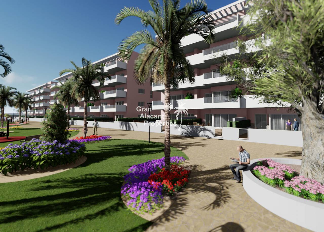 Apartment - New Build - Guardamar del Segura - NB-55227