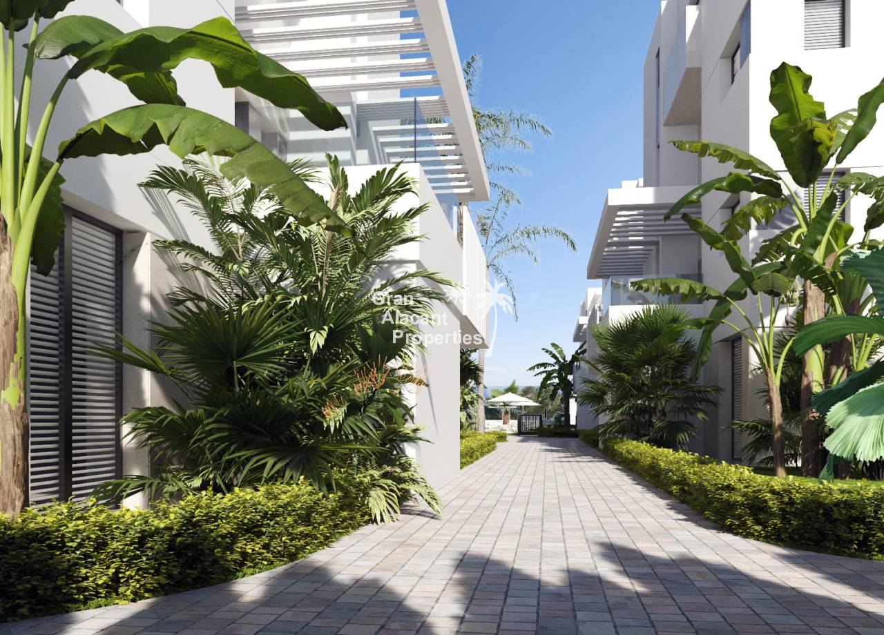 Apartment - New Build - Torre-Pacheco - NB-14633