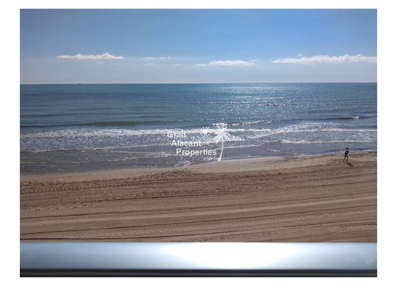 Apartment - Sale - Arenales del Sol - 10238