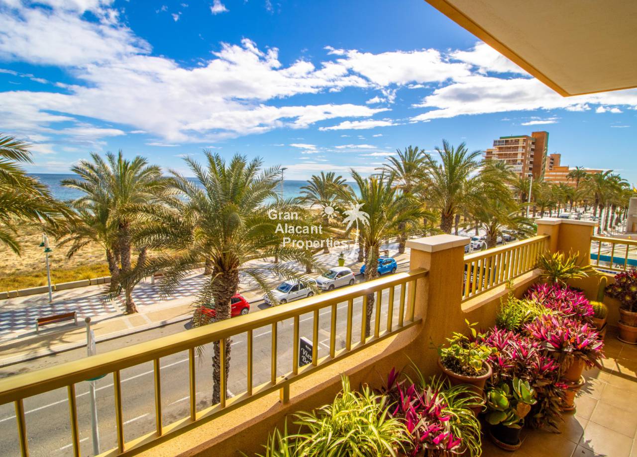 Apartment - Sale - Arenales del Sol - 10572