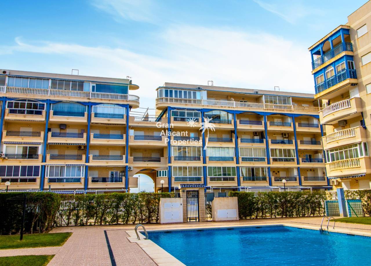 Apartment - Sale - Arenales del Sol - 10634
