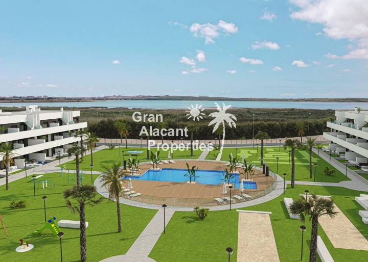 ground-floor - Nueva construcción  - Guardamar del Segura - Guardamar del Segura