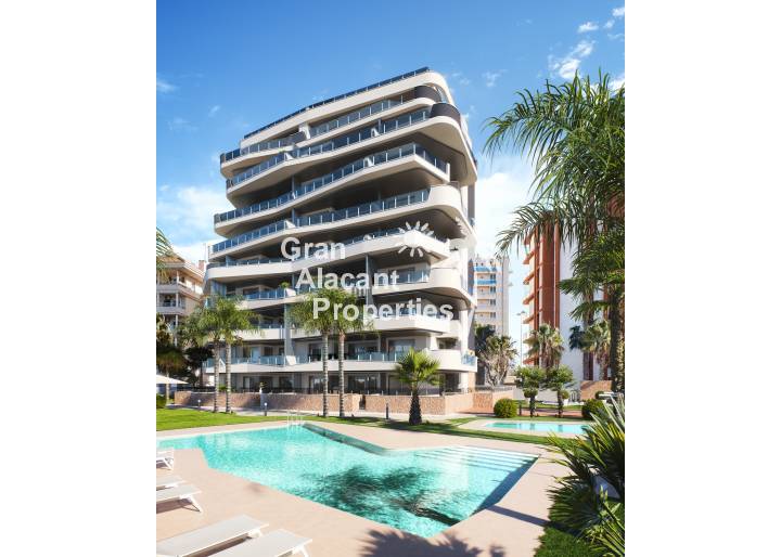 ground-floor - Nueva construcción  - Guardamar del Segura - Guardamar del Segura