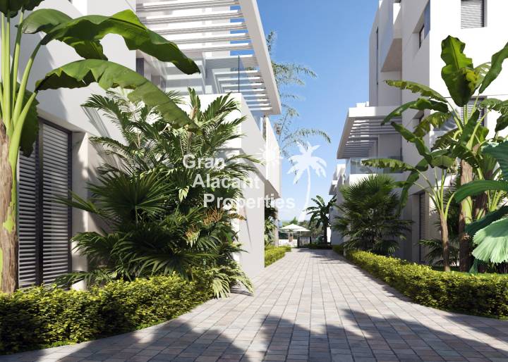ground-floor - Nueva construcción  - Torre-Pacheco - Torre-Pacheco