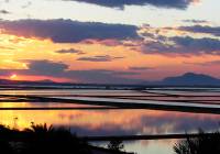 New Build - Apartment - Alicante (Alacant)