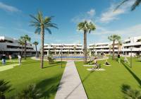 New Build - Apartment - Guardamar del Segura