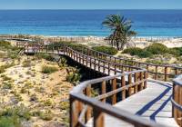 New Build - Apartment - Monforte del Cid