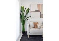 New Build - Apartment - Pilar de la Horadada