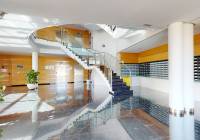 New Build - Apartment - Villanueva del Río Segura