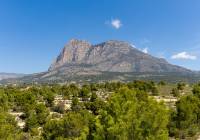 New Build - detached - Finestrat