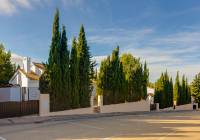 New Build - detached - Fuente Alamo