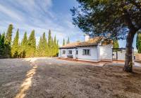 New Build - detached - Fuente Alamo
