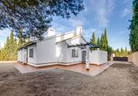 New Build - detached - Fuente Alamo