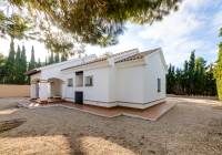 New Build - detached - Fuente Alamo