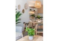 New Build - detached - Los Alcázares