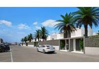 New Build - detached - Los Nietos