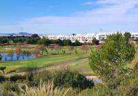 New Build - detached - Pilar de la Horadada
