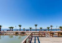 New Build - detached - Pilar de la Horadada