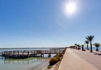 New Build - detached - Pilar de la Horadada