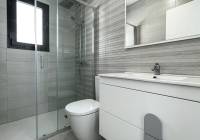 New Build - detached - Pinar de Campoverde