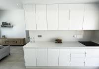 New Build - detached - Pinar de Campoverde
