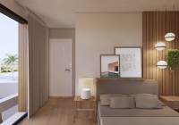 New Build - detached - Torre de la Horadada