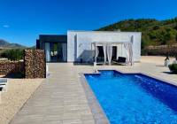 New Build - detached - Torre del Rico