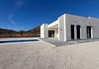New Build - detached - Torre del Rico
