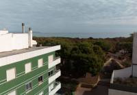 New Build - ground-floor - Guardamar del Segura