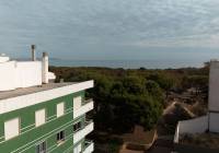 New Build - ground-floor - Guardamar del Segura