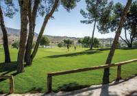 New Build - ground-floor - Monforte del Cid