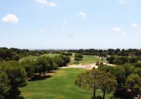 New Build - ground-floor - Pinar de Campoverde