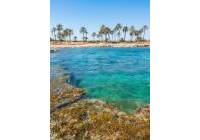 New Build - ground-floor - Torrevieja