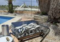 New Build - terraced - San Javier