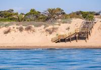 New Build - Villa - Daya Nueva