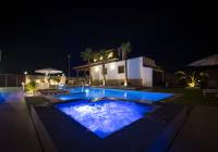 New Build - Villa - Jerónimo y Avileses