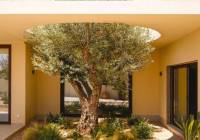 New Build - Villa - La Marina