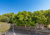 New Build - Villa - Pilar de la Horadada