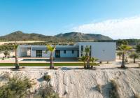 New Build - Villa - Pinoso