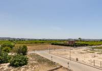 New Build - Villa - Rafal