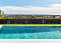 New Build - Villa - San Miguel de Salinas