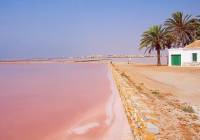 Nueva construcción  - Adosado - Pilar de la Horadada