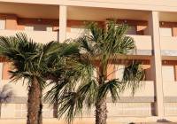 Nueva construcción  - Apartamento - Gran Alacant - Bahía Playa