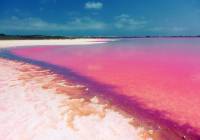 Nueva construcción  - Apartamento - Torrevieja