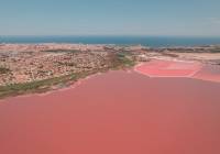 Nueva construcción  - Apartamento - Torrevieja