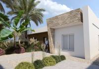 Nueva construcción  - ground-floor - Algorfa