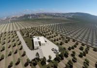 Nueva construcción  - Villa - Algorfa