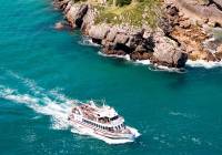 Nueva construcción  - Villa - Orihuela Costa