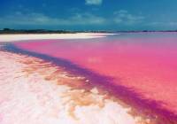 Nueva construcción  - Villa - Orihuela Costa